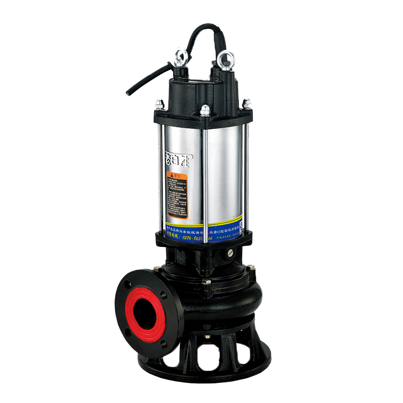 WQ(D)-ST National flange stainless steel cylinder sewage submersible electric pump (with mixing, cutting device)